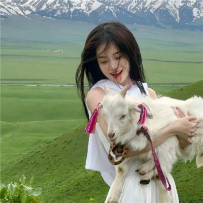 长毛狗