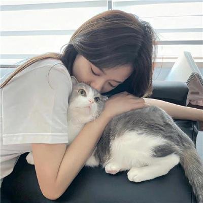 好女孩的谋杀调查指南